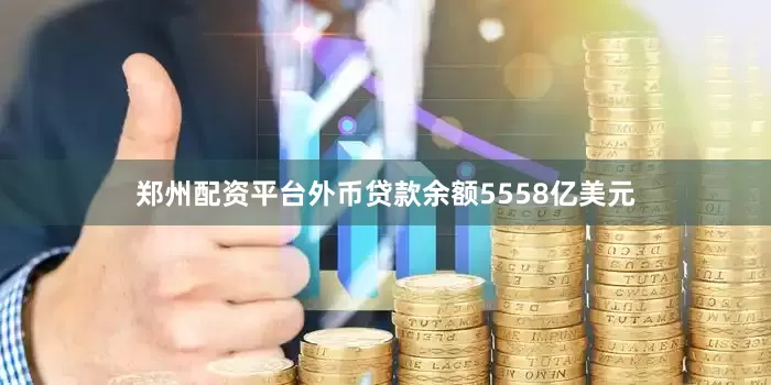 鄭州配資平臺(tái)外幣貸款余額5558億美元